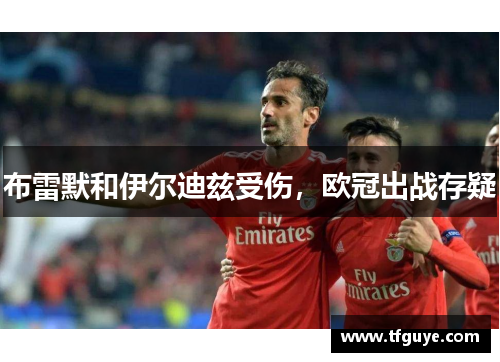 布雷默和伊尔迪兹受伤，欧冠出战存疑